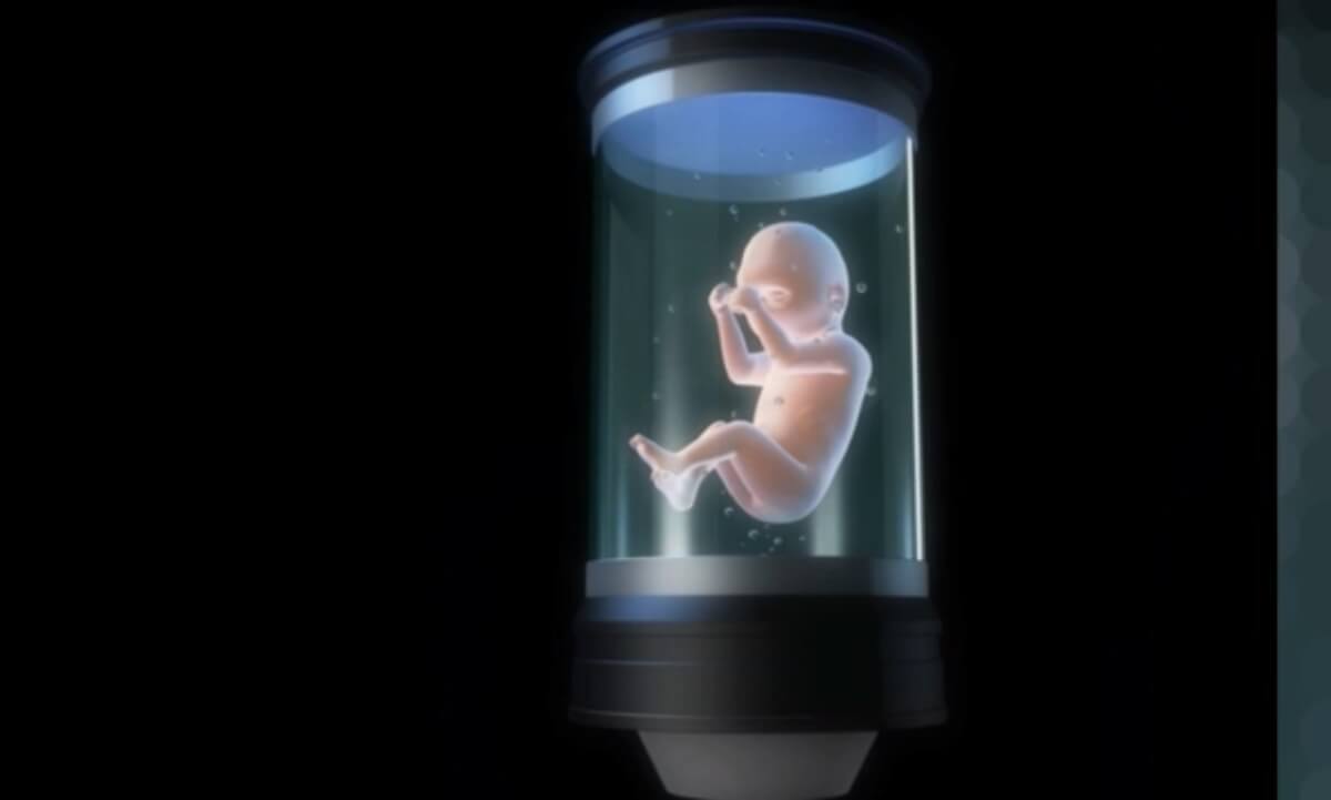 Cientistas: “Nós vamos gerar bebês em ventres artificiais ‘em uma década”