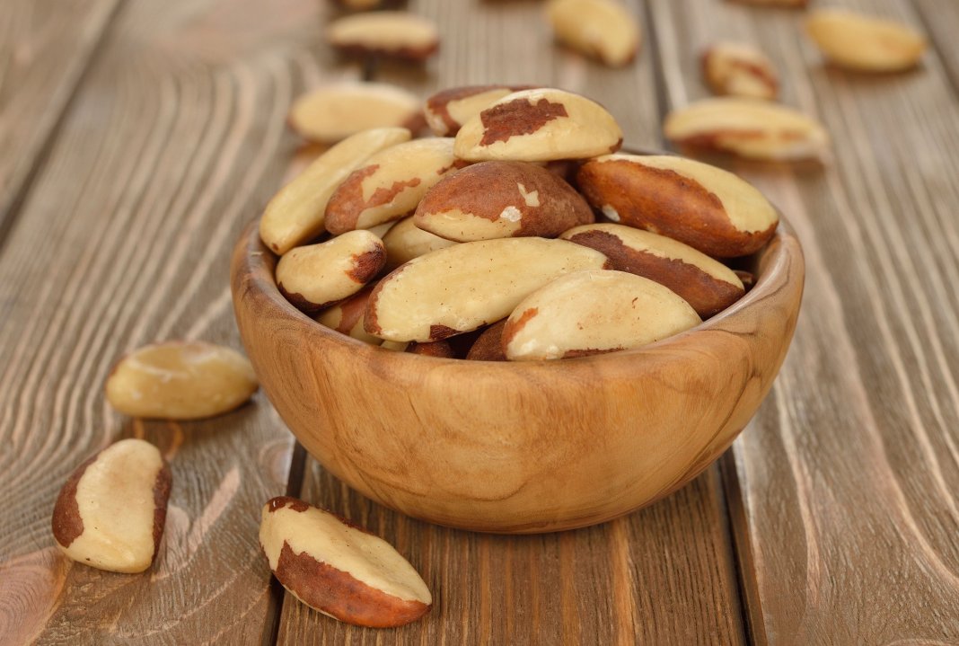 Comer apenas 2 castanhas-do-Pará pode ajudar a prevenir câncer, ansiedade, depressão e ataque cardíaco