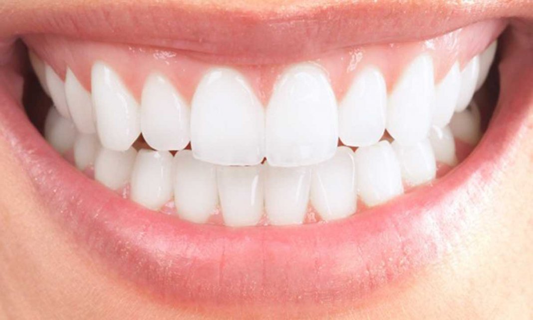 Implantes dentários com células-tronco poderão fazer crescer novos dentes em 2 meses