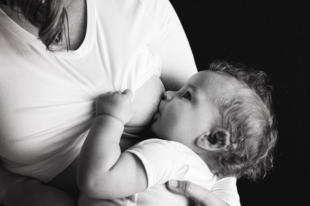 Leite materno humano pode ajudar bebês a contar o tempo através de sinais circadianos da mãe