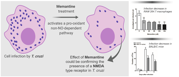 revistasaberesaude.com - Remédio para Alzheimer também tem efeito contra doença de Chagas