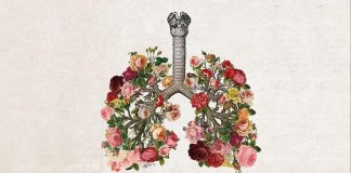 Como cuidar de seus pulmões de acordo com a medicina chinesa