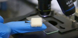USP e Harvard criam bateria feita de gelatina para uso na área médica