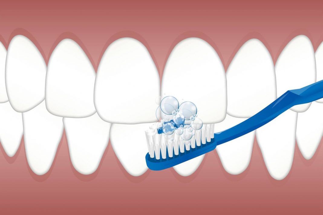 Escovar os dentes três vezes ao dia pode manter seu coração saudável