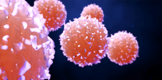 Cientistas criam ultrassom que mata células cancerígenas