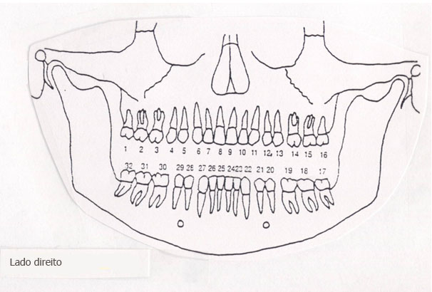 revistasaberesaude.com - Cada dente está associado a um órgão do corpo - a dor em cada dente pode   indicar problemas em certos órgãos