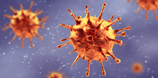 Coronavírus: O que acontece quando você é infectado?