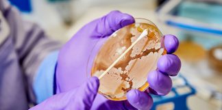 Microbiologistas estão procurando novas drogas cerebrais em um lugar aparentemente improvável: amostras de fezes humanas
