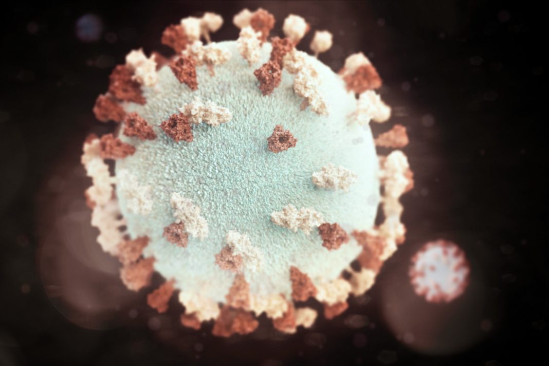 Cientistas identificam anticorpos capazes de bloquear infecção pela Covid-19