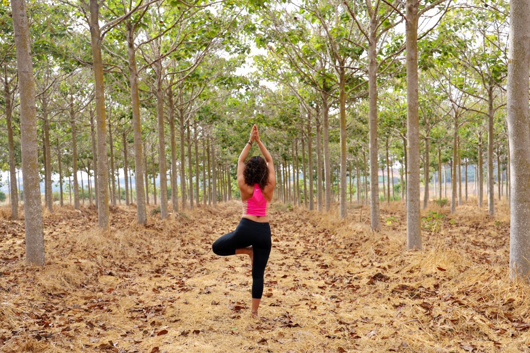 Bastam apenas duas horas em contato com a natureza para ser mais saudável e feliz