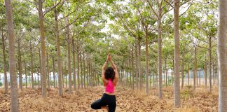 Bastam apenas duas horas em contato com a natureza para ser mais saudável e feliz