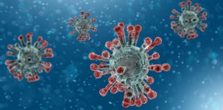6 tipos do novo coronavírus esteve em circulação no Brasil, aponta estudo da Fiocruz
