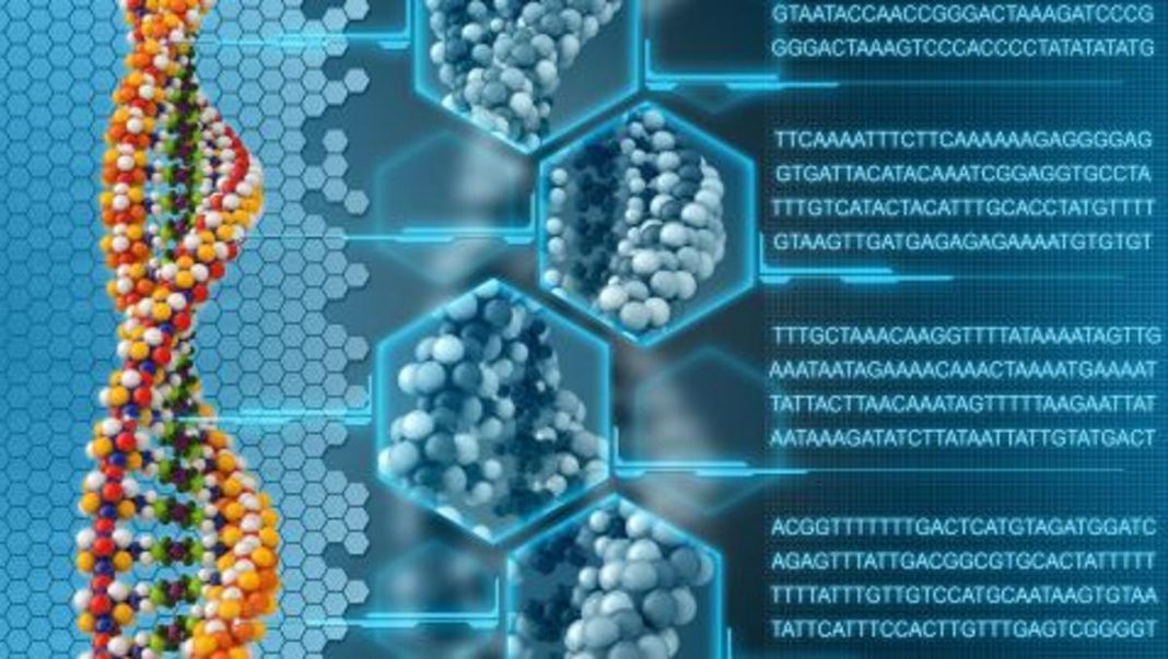 Cientistas afirmam que o DNA pode ser reprogramado por nossas próprias palavras