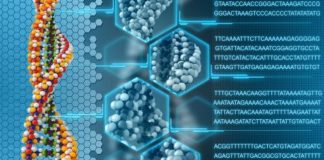 Cientistas afirmam que o DNA pode ser reprogramado por nossas próprias palavras