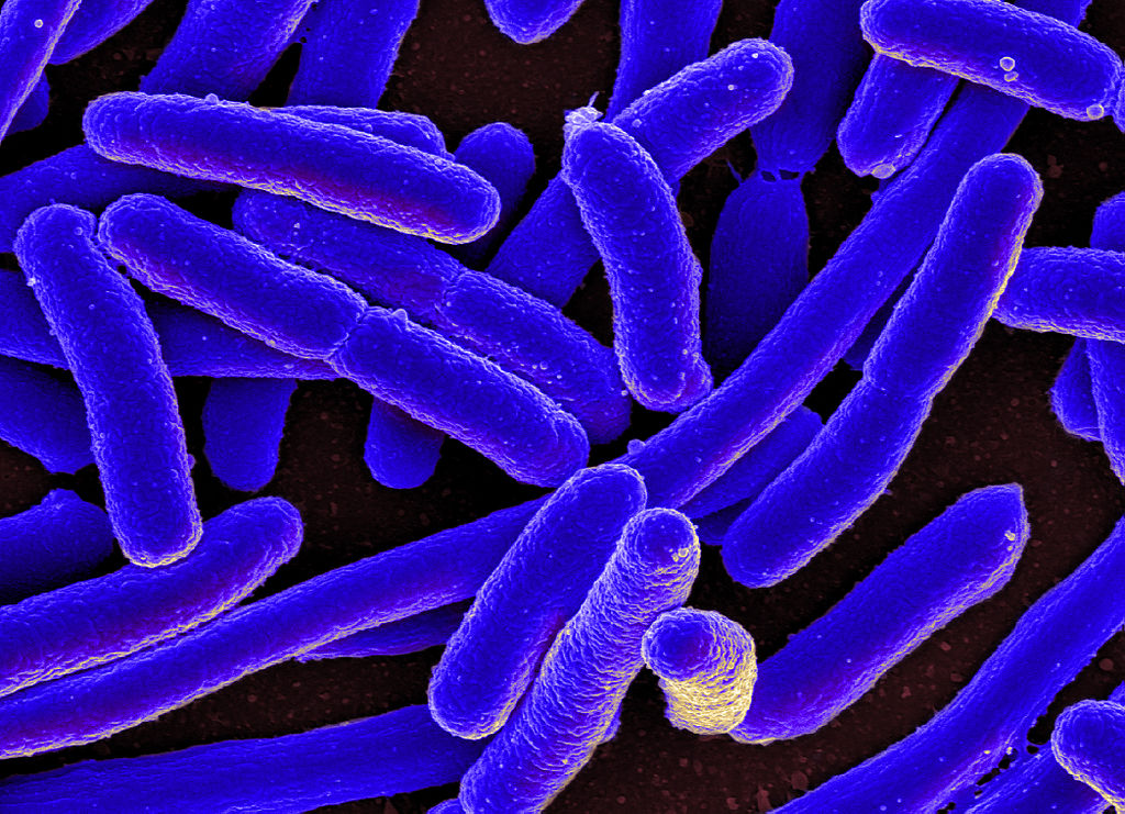 Estranhas formas de vitaminas chamadas ‘antivitaminas’ podem combater as superbactérias resistentes a antibióticos