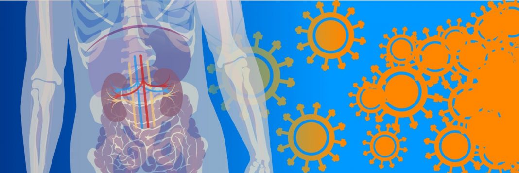 Mais 2 países registram casos de reinfecção pelo coronavírus