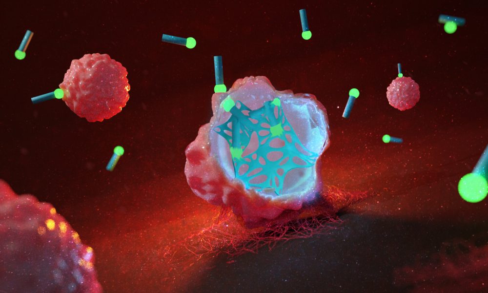 Teias de fibras moleculares matam as células cancerosas de dentro para fora