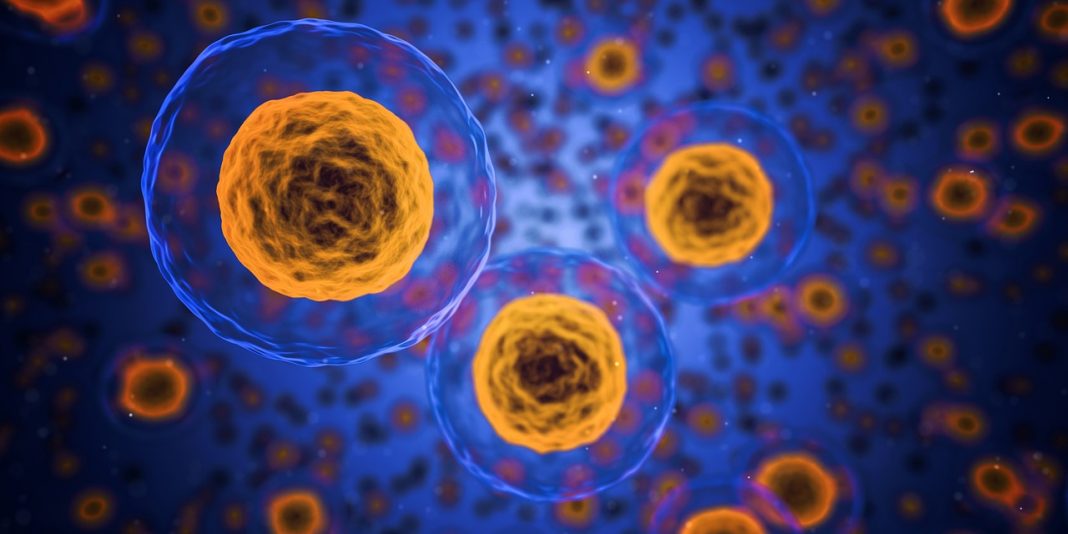 O crescimento de nanopartículas de ouro dentro de tumores pode ajudar a matar o câncer