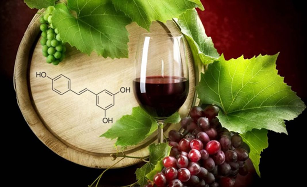Vinhos secos colaboram para a dieta e tem efeito antiestresse