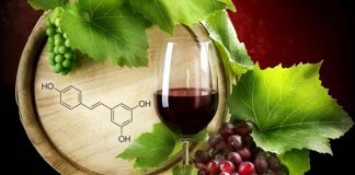 Vinhos secos colaboram para a dieta e tem efeito antiestresse