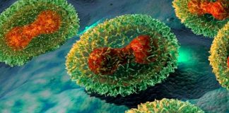 Vírus desconhecido da família da varíola contamina duas pessoas no Alasca