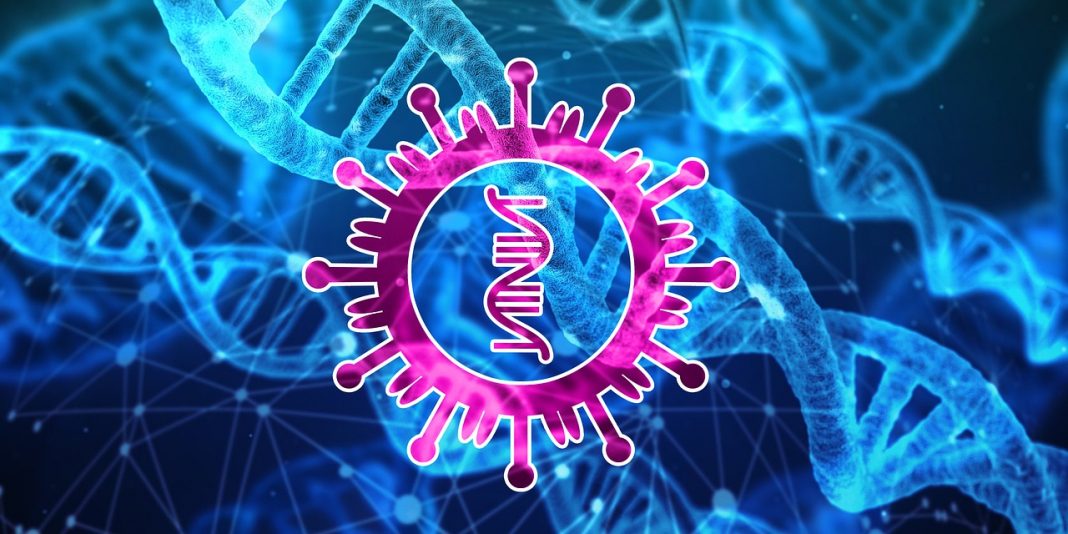 Novo gene misterioso “oculto” descoberto no vírus COVID-19