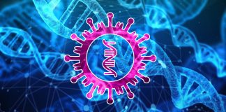 Novo gene misterioso “oculto” descoberto no vírus COVID-19
