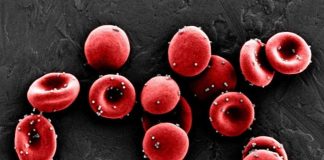 A imunoterapia contra o câncer “atrai” o sistema imunológico para atacar tumores pulmonares ocultos