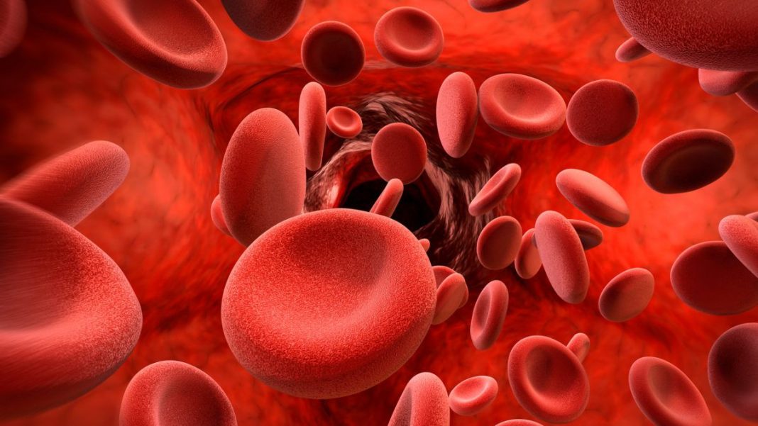 Como seu tipo sanguíneo pode afetar sua saúde