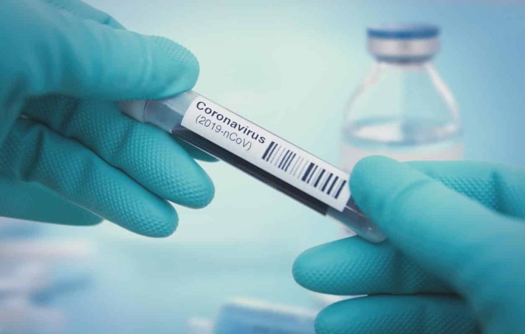 Infecção por Covid-19 concede imunidade por cinco meses, sugere estudo do Reino Unido