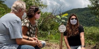 Projeto vai plantar em áreas de mata atlântica uma árvore para cada vítima da Covid no Brasil