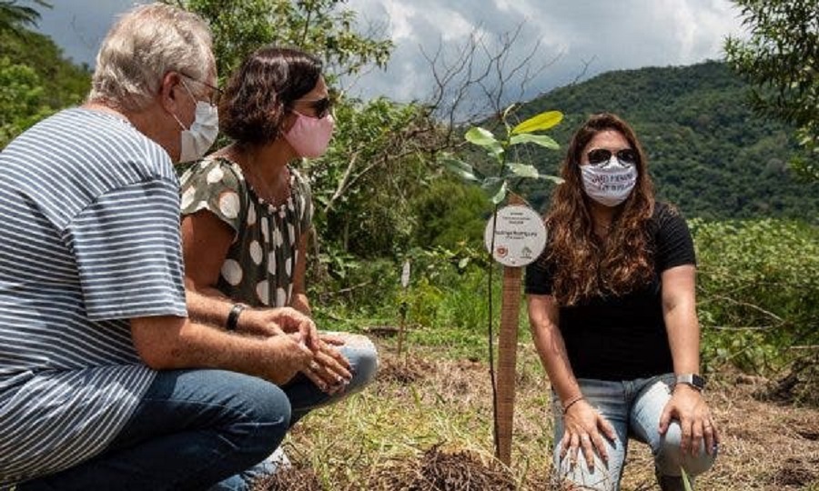Projeto vai plantar em áreas de mata atlântica uma árvore para cada vítima da Covid no Brasil