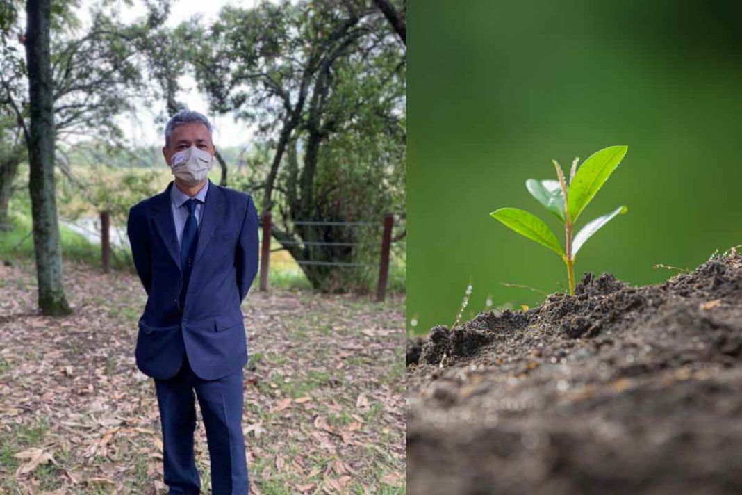 A máscara de celulose 100% biodegradável que é plantada após o uso