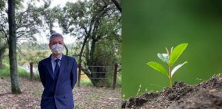 A máscara de celulose 100% biodegradável que é plantada após o uso