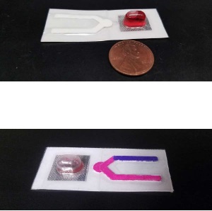test strip for coronavirus released UCSD small - Engenheiros projetam novas máscaras faciais com tira de teste para detectar COVID - muito parecido com um teste de gravidez