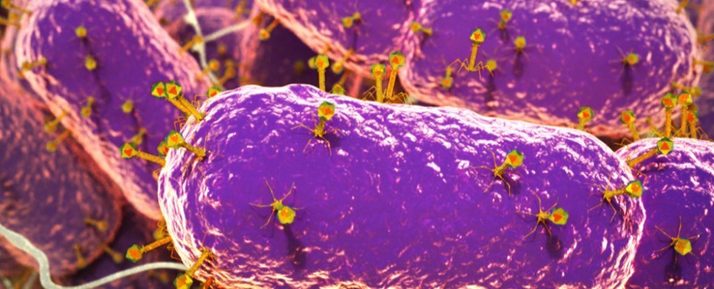 Cientistas encontram 140.000 espécies de vírus no intestino humano, e a maioria é desconhecida
