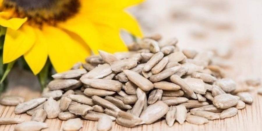beneficios semente girassol - As 10 sementes mais saudáveis ​​para comer e seus benefícios