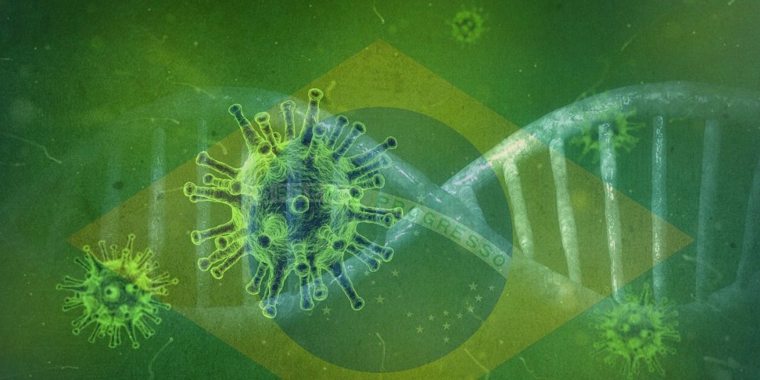Variante brasileira do coronavírus é mais transmissível, capaz de driblar sistema imune e causar reinfecção