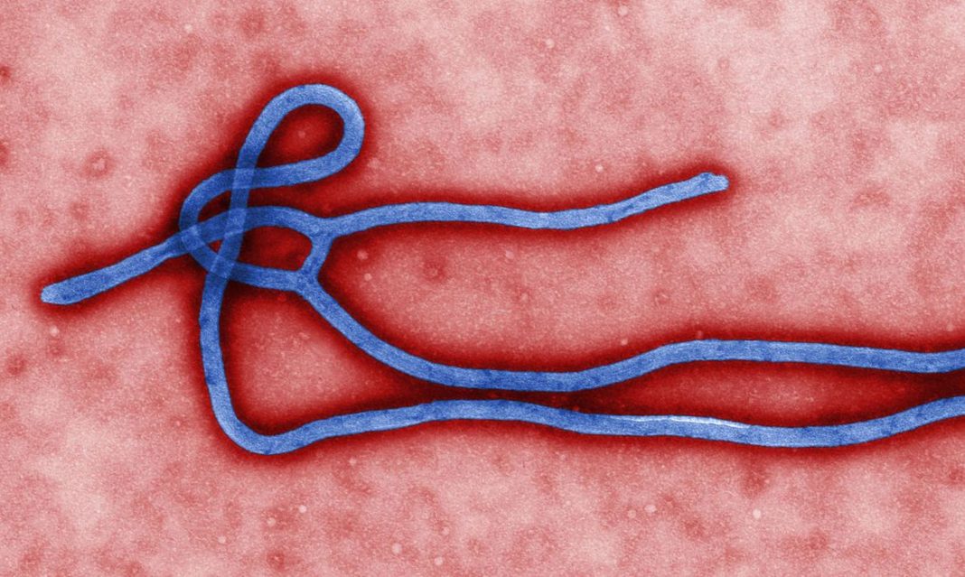 Novo surto de ebola sugere que o vírus pode se esconder por anos dentro das pessoas