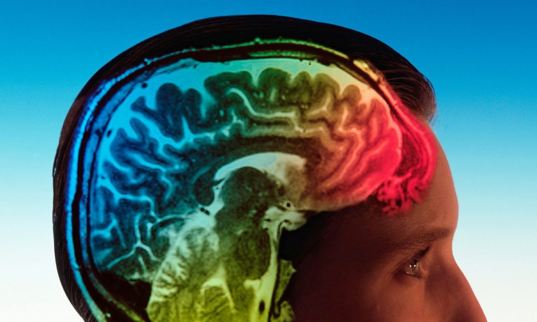 Neurocientistas seguiram um pensamento enquanto ele se movia pelo cérebro humano