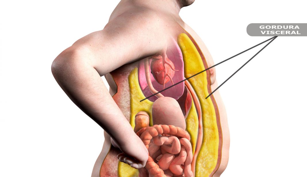 Alguns fatos sobre a gordura da barriga que é bom saber