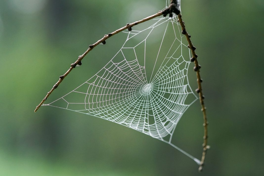 Novo material inspirado em “teia de aranha” pode ajudar a resolver nosso problema do plástico