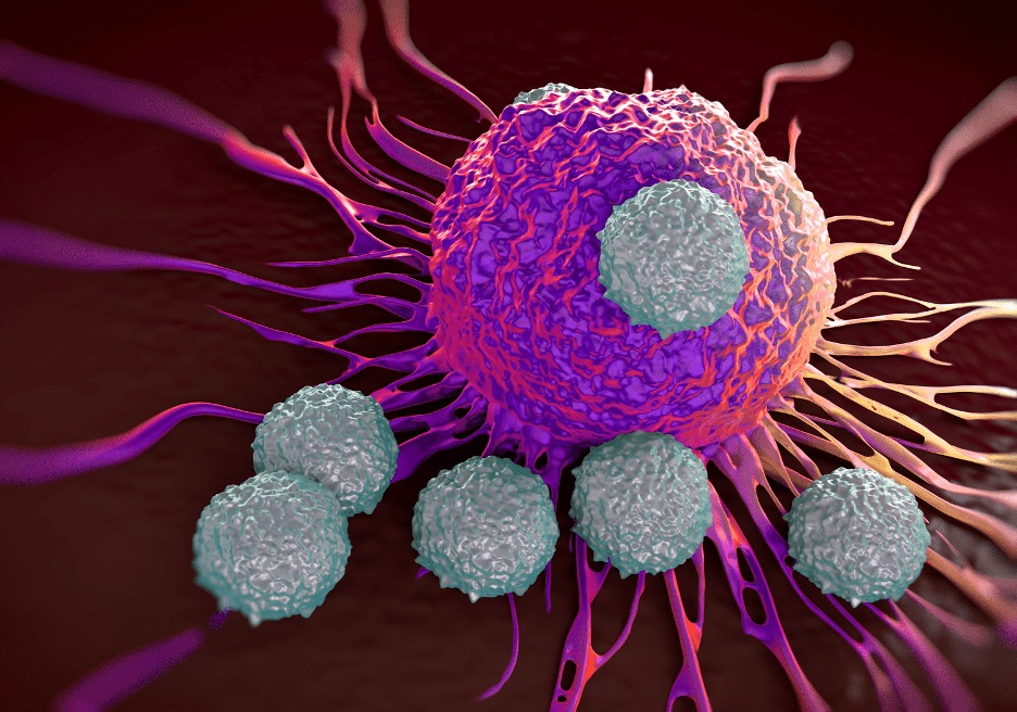 Células cancerosas hibernam para sobreviver à quimioterapia, conclui estudo