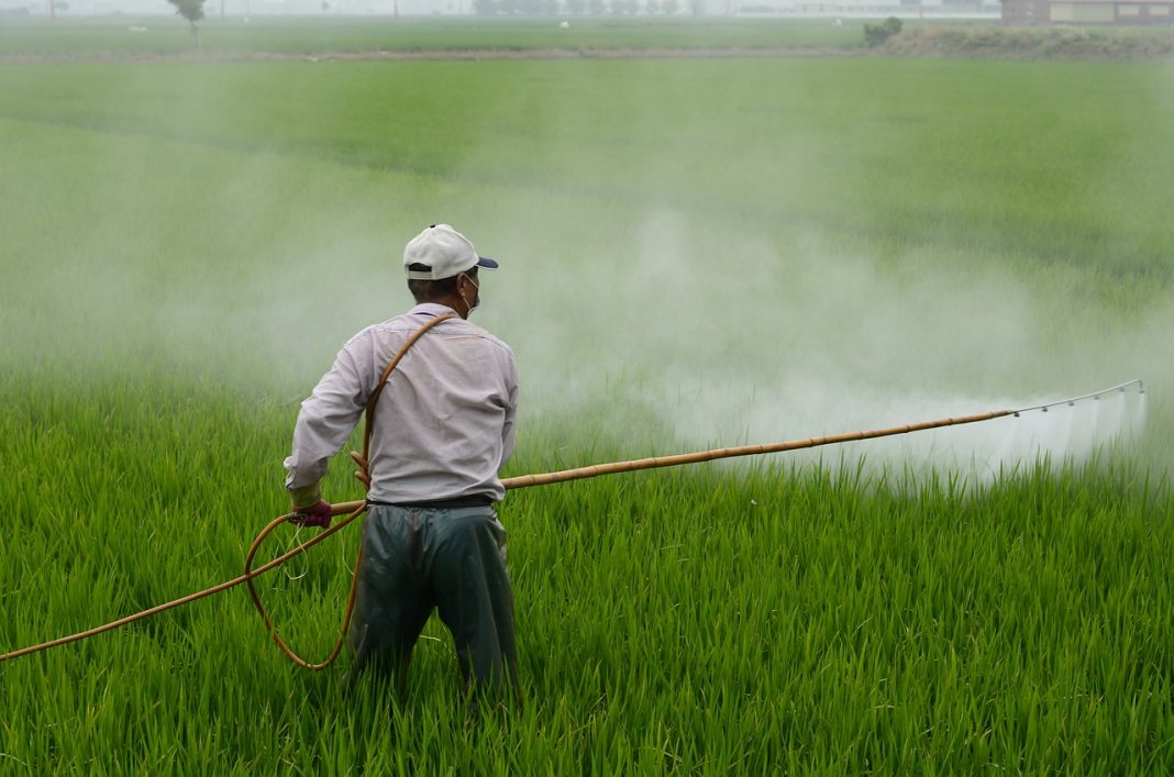 Câncer de próstata e pesticidas: o relatório científico da ANSES confirma a correlação