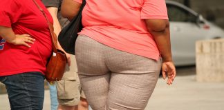 A obesidade é uma questão muito mais complexa do que um simples ‘gene da obesidade’, dizem os especialistas
