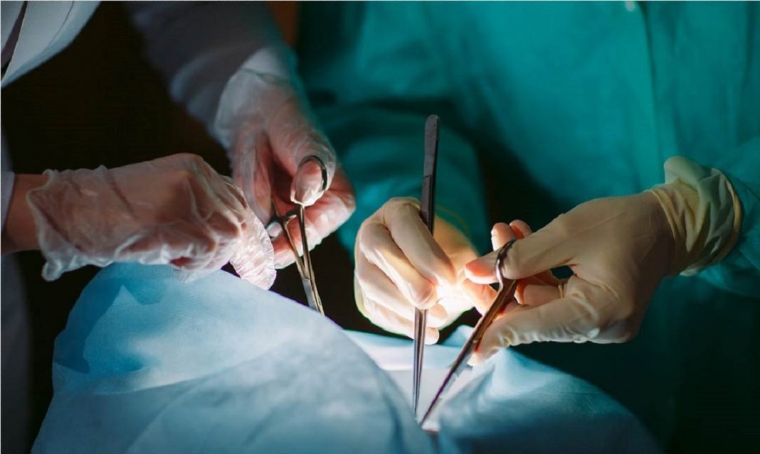 Cirurgiões americanos transplantaram com sucesso um rim de porco em um humano