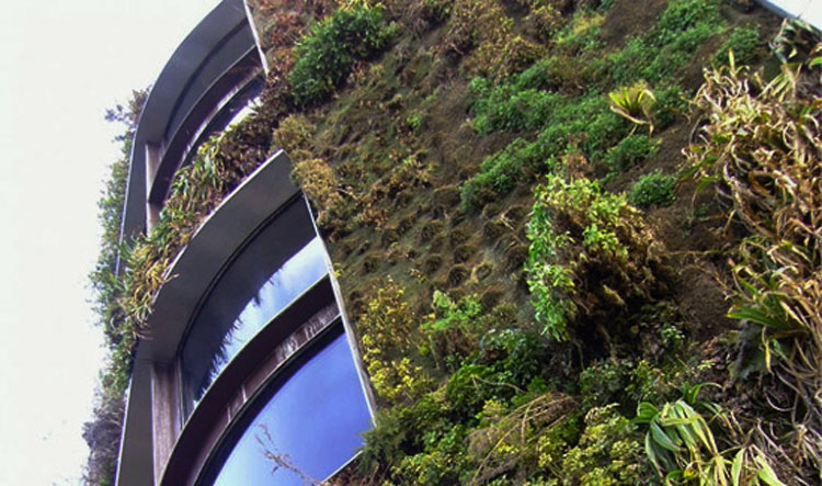 5 Moss growing concrete CO2 - Edifícios feitos de "concreto que cresce musgo" podem remover mais CO2 e poluição do ar do que milhares de árvores