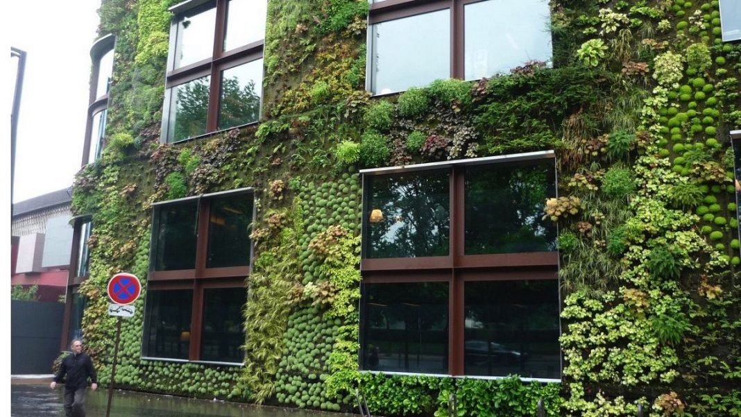 Edifícios feitos de “concreto que cresce musgo” podem remover mais CO2 e poluição do ar do que milhares de árvores