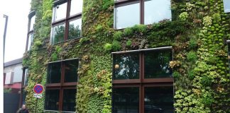 Edifícios feitos de “concreto que cresce musgo” podem remover mais CO2 e poluição do ar do que milhares de árvores