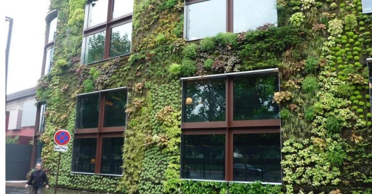 revistasaberesaude.com - Edifícios feitos de "concreto que cresce musgo" podem remover mais CO2 e poluição do ar do que milhares de árvores